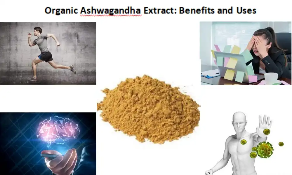 Organic Ashwagandha Extract: Benefits and Uses